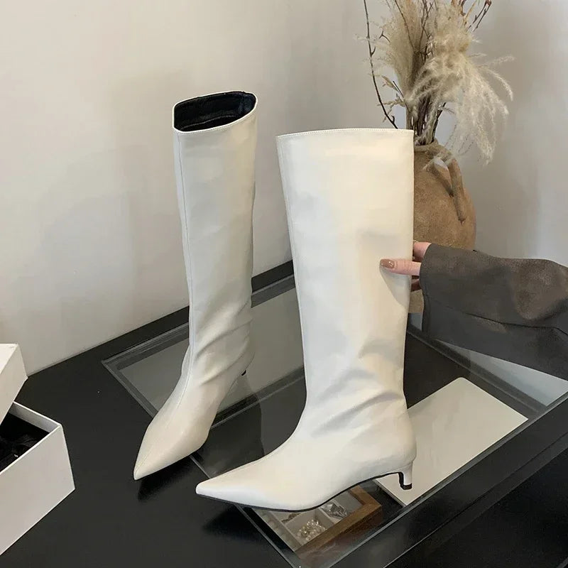 Aneikeh Brown Design Pointed Toe Women Knee-High Boots Designer Party Street Long Booties