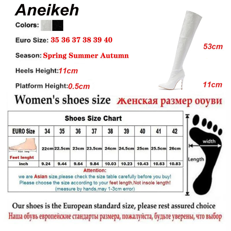 Aneikeh NEW  Fashion Striped 11CM Thin Heels Ladies  Boots 2025