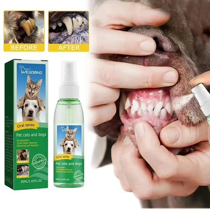 Pet Teeth Cleaning Spray Dog Cat Teeth Calculus Stain Remover Deodorant Kitten Bad Breath Treatment Pet Oral Care Tool