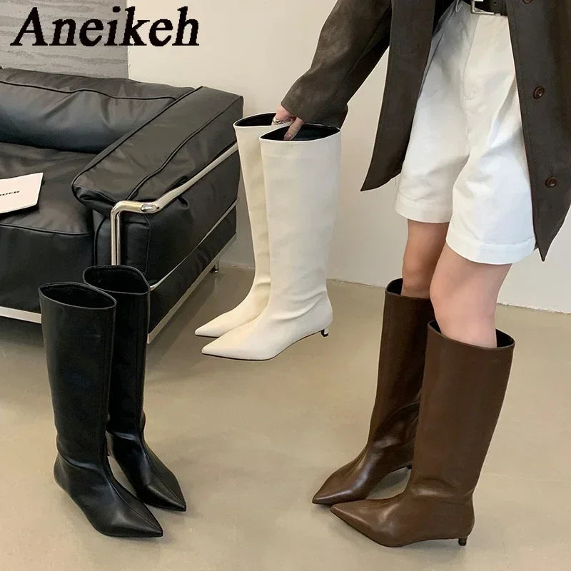 Aneikeh Brown Design Pointed Toe Women Knee-High Boots Designer Party Street Long Booties