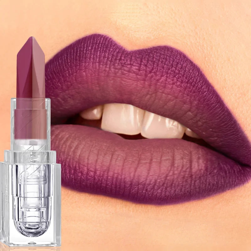 2 In 1 Matte Lipstick&lip Liner Set Lip Pencil High Pigmented Waterproof