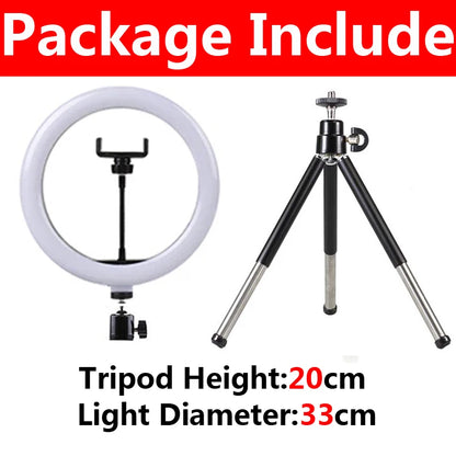10 inch LED Ring Light with Mini Tripod 26cm LED Round Photography Fill Light Remote Dimmable for Tiktok YouTube Live Video Lamp
