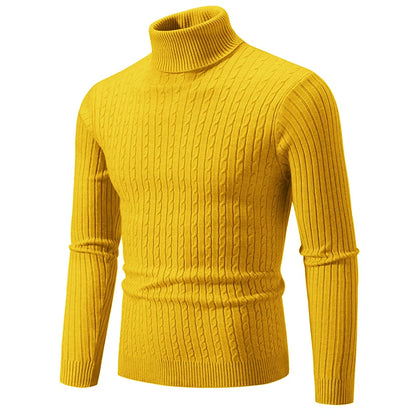 Winter High Neck Thick Warm Turtleneck Sweater