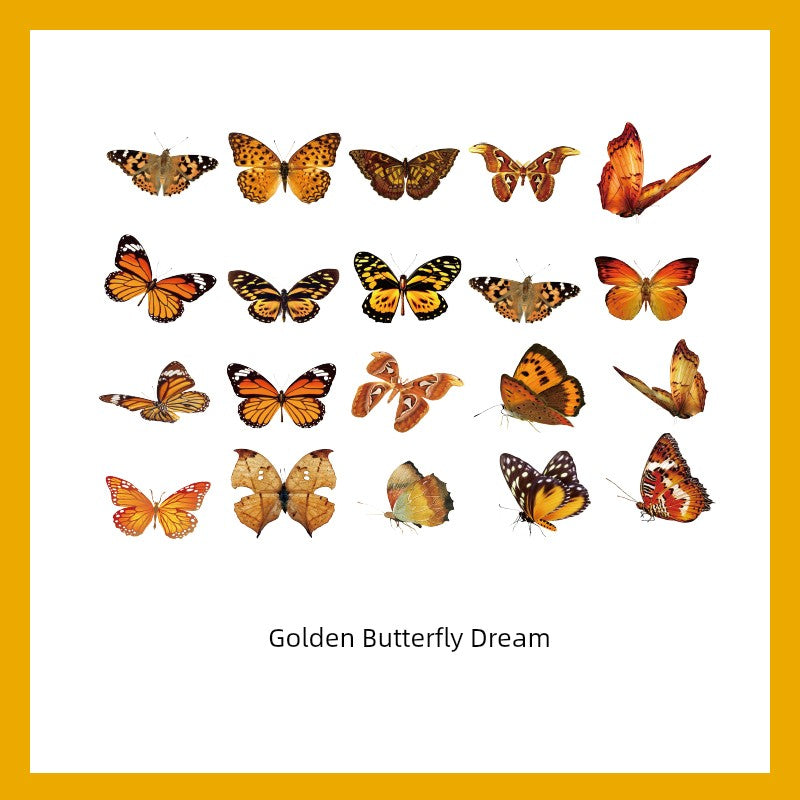 Cute Transparent Traceless Diary Pattern Cane Artsy