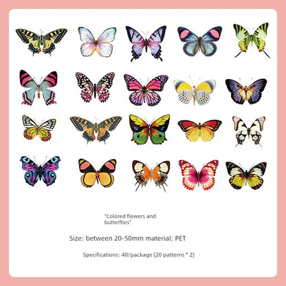 Cute Transparent Traceless Diary Pattern Cane Artsy