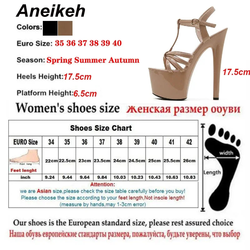 Aneikeh Platform Heigh Gladiator Women Sandals Summer Narrow Band T-Tied Shoes High Buckle Strap Thin Heels Sandalias Mujer 2025