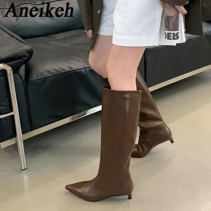 Aneikeh Brown Design Pointed Toe Women Knee-High Boots Designer Party Street Long Booties