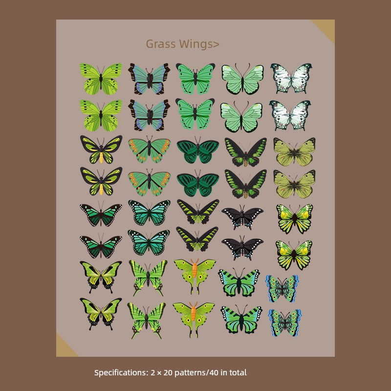 Cute Transparent Traceless Diary Pattern Cane Artsy