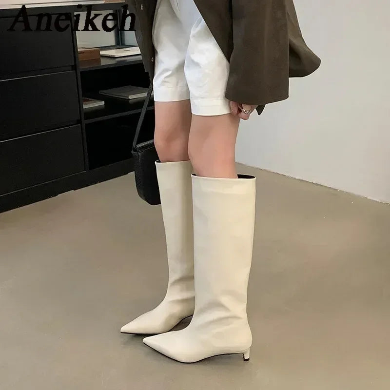 Aneikeh Brown Design Pointed Toe Women Knee-High Boots Designer Party Street Long Booties