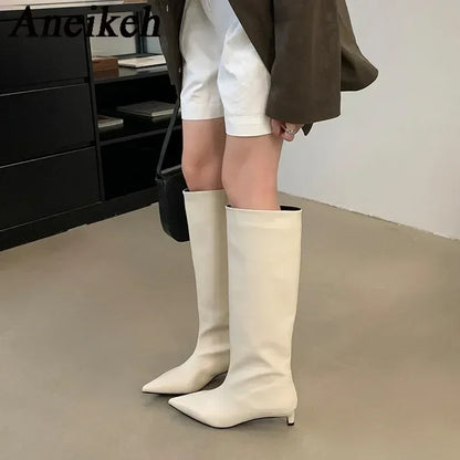 Aneikeh Brown Design Pointed Toe Women Knee-High Boots Designer Party Street Long Booties