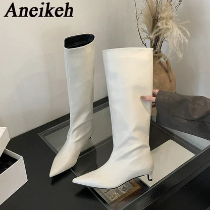 Aneikeh Brown Design Pointed Toe Women Knee-High Boots Designer Party Street Long Booties