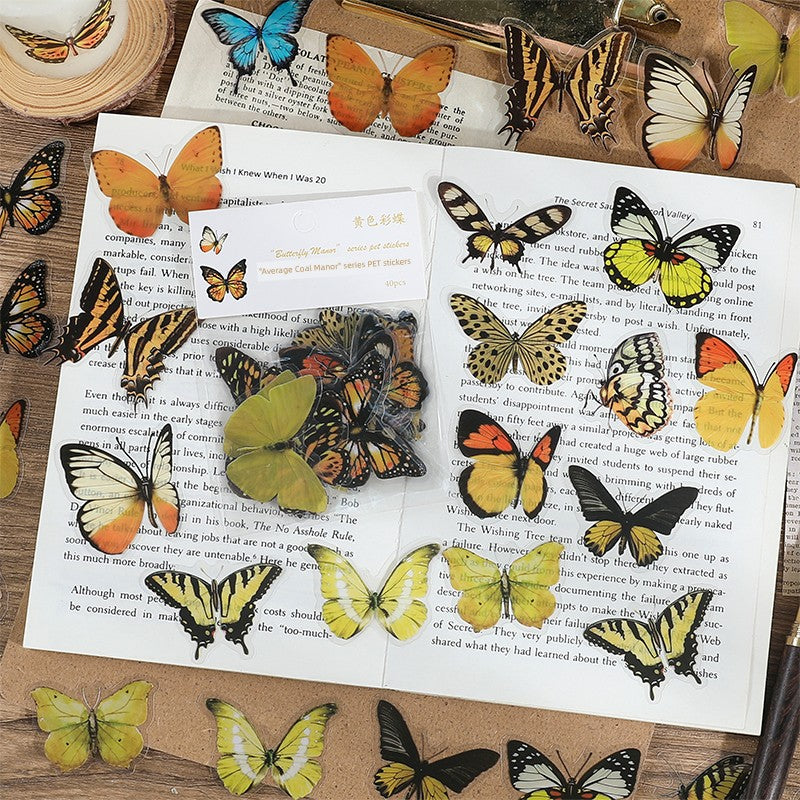 Cute Transparent Traceless Diary Pattern Cane Artsy