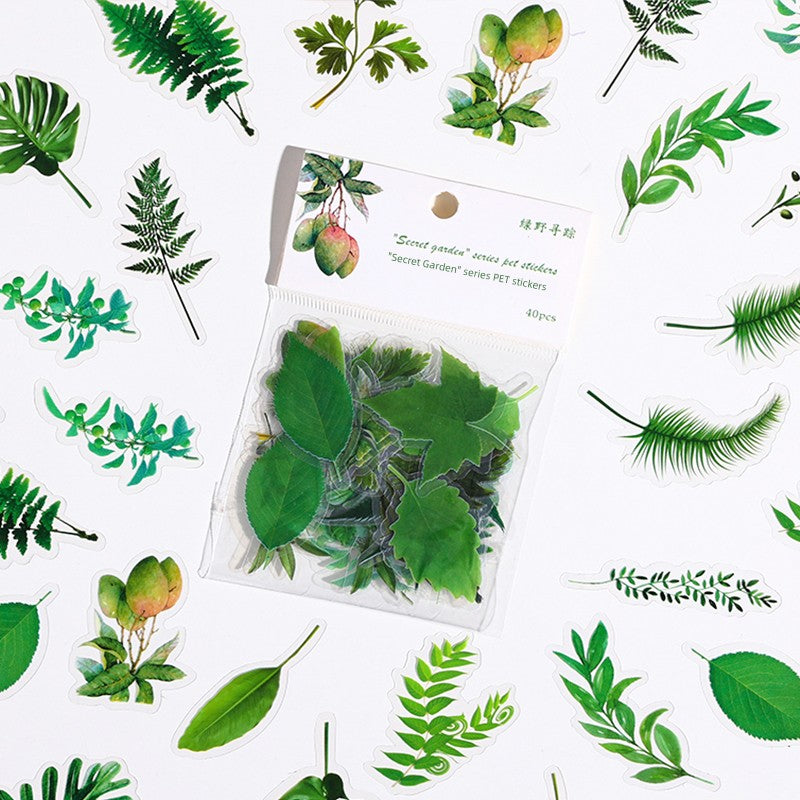 Cute Transparent Traceless Diary Pattern Cane Artsy