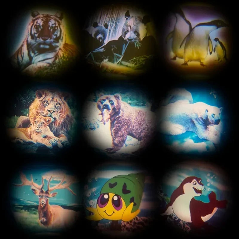 1pcs Funny Mini Cartoon Camera Toy Animal Pattern Educational