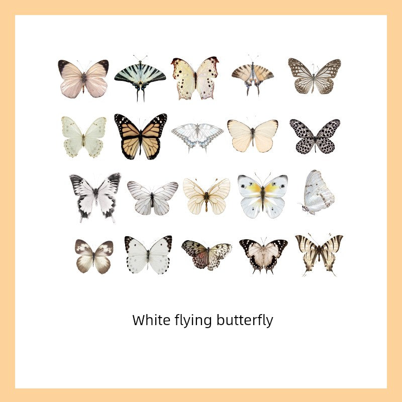 Cute Transparent Traceless Diary Pattern Cane Artsy