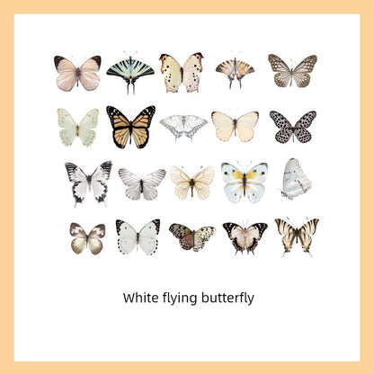 Cute Transparent Traceless Diary Pattern Cane Artsy