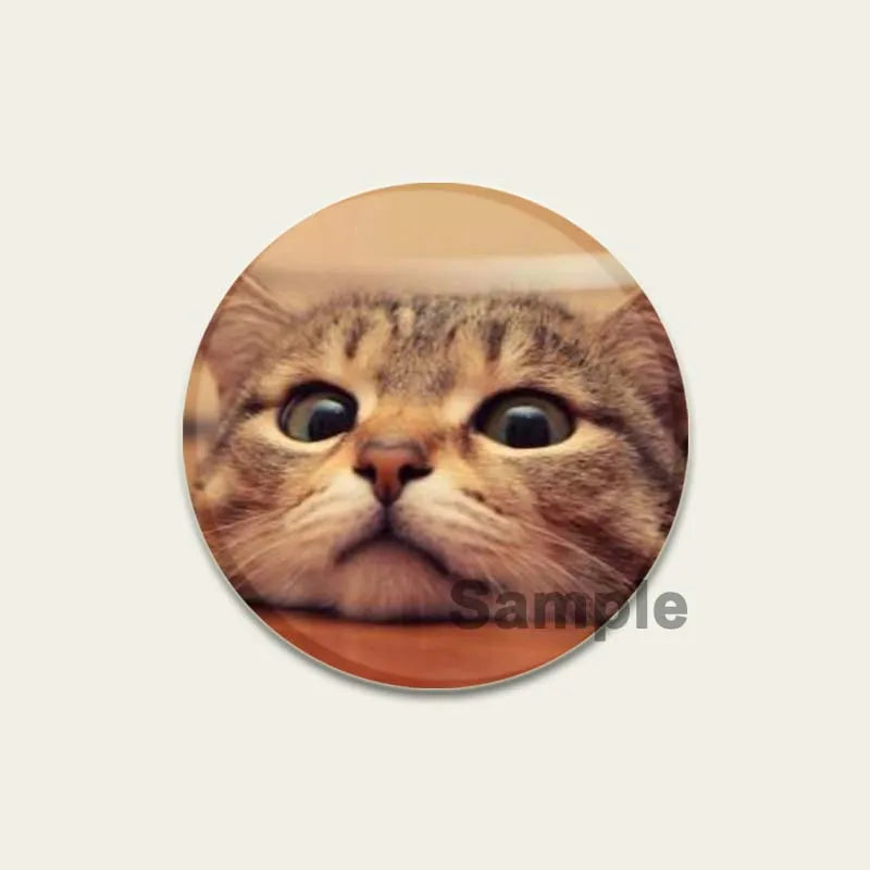 32/44/58mm Funny Cute Cat Badge Round Creative Brooches Fashion DIY Backpack Jewelry Accessory Gifts HD Print Handmade Pins