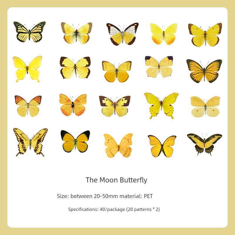 Cute Transparent Traceless Diary Pattern Cane Artsy