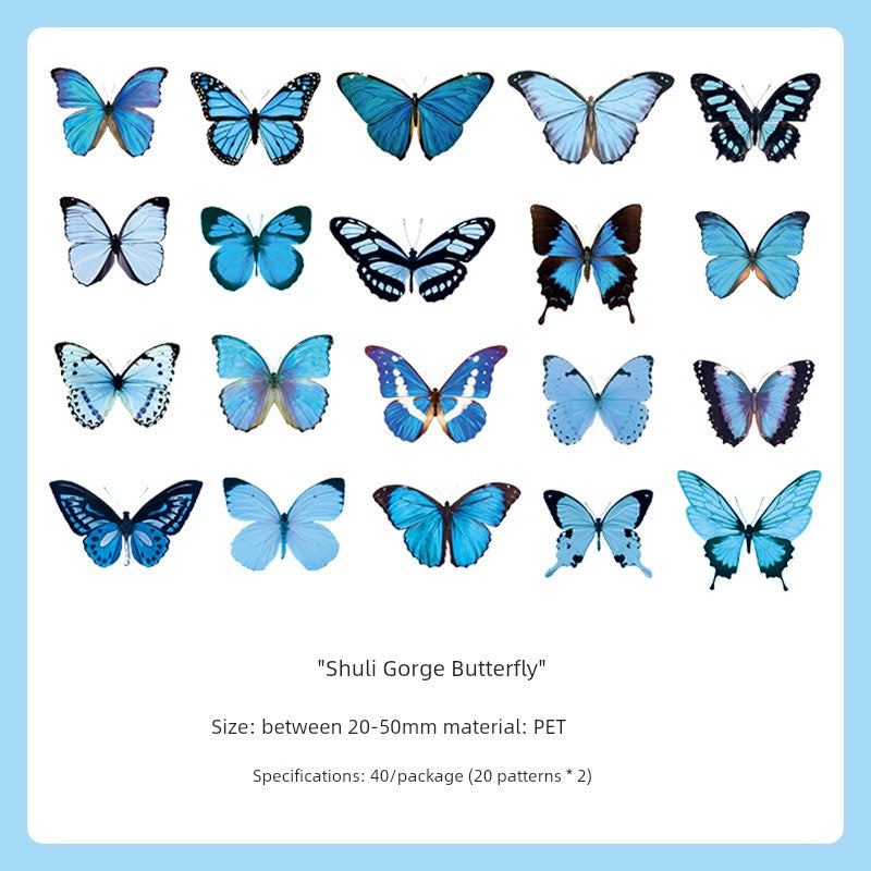 Cute Transparent Traceless Diary Pattern Cane Artsy