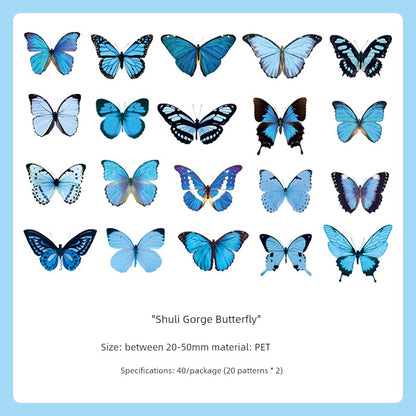 Cute Transparent Traceless Diary Pattern Cane Artsy