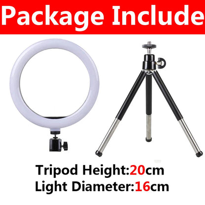 10 inch LED Ring Light with Mini Tripod 26cm LED Round Photography Fill Light Remote Dimmable for Tiktok YouTube Live Video Lamp