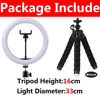 10 inch LED Ring Light with Mini Tripod 26cm LED Round Photography Fill Light Remote Dimmable for Tiktok YouTube Live Video Lamp