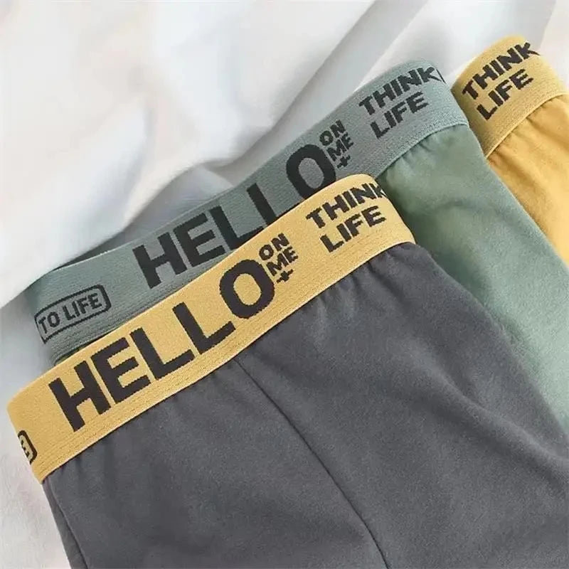 10Pcs/Men's Underwear SizeL-4XL