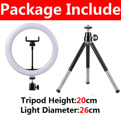 10 inch LED Ring Light with Mini Tripod 26cm LED Round Photography Fill Light Remote Dimmable for Tiktok YouTube Live Video Lamp