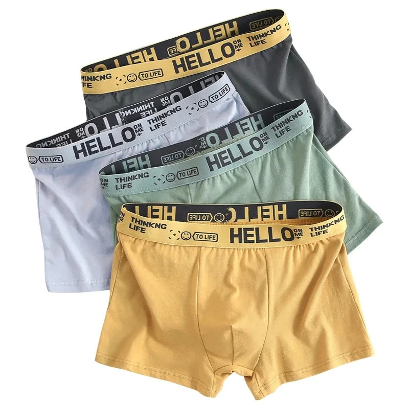 10Pcs/Men's Underwear SizeL-4XL