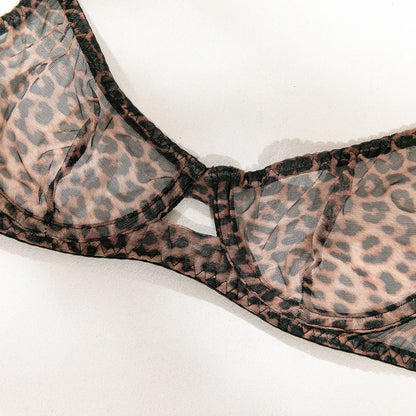 2 Pieces Sexy Leopard Print Transparent Underwire Bra Panty Set
